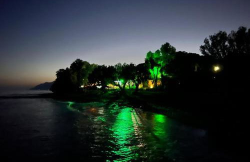 Nikkon Luxury Living - Foto 33