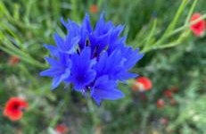 Domek pod Sosnową Górą - Foto 12