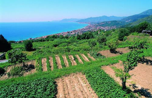 Ligure Residence - Foto 25