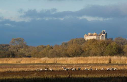 Séjour nature au cœur du Parc de la Brenne: gîte 4 chambres, jardin et terrasse, proche de Rosnay - FR-1-591-141 - Foto 11