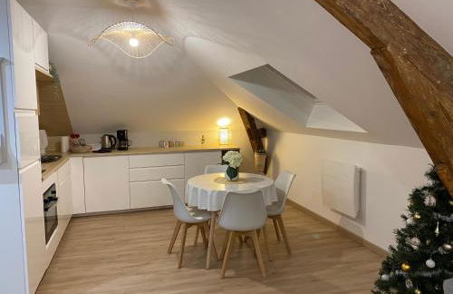 Chez Gustave charmant T2, 4 min place Ducale - Foto 3