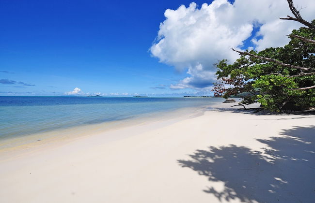 YASAD Luxury Beach Residence - Foto 78