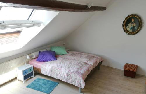 Ferienwohnungen Burgfrieden 6 - Foto 15