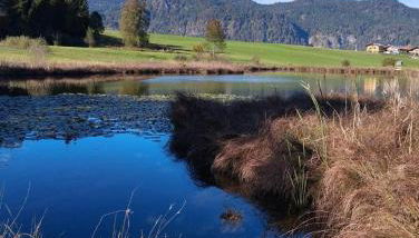 Alpen-Chalet Benzeck - Foto 5