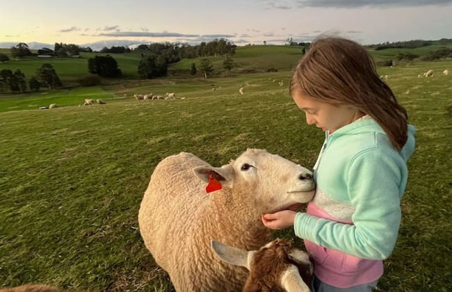 Jilly Park Farm Interactive Experience - Foto 1