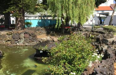 GARDEN VIEW APARTMENT - Foto 33