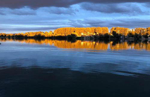Schwarzwald Glück - Photo 13