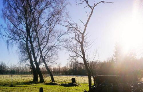 Apartment Pharos - Foto 13