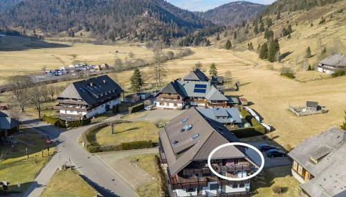 Galeriewohnung in Menzenschwand - Foto 4