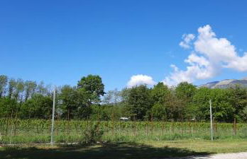 Agriturismo La Bella - Foto 12