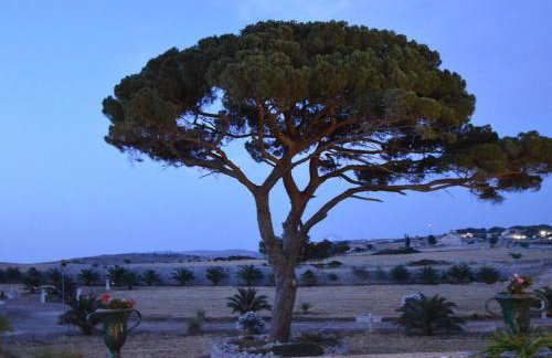 Villa Castiglione 1863 - The real Sicilian holiday - Foto 16