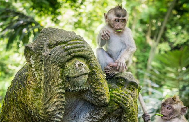 The Mahogany Villa - Foto 80