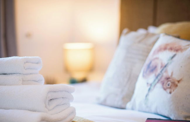 St. Tinney Farm - Photo 36