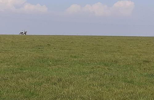 Gamekeepers Cottage - Hot Tub, 2 bed, sleeps 4, private patio, AC, stunning views - Photo 15