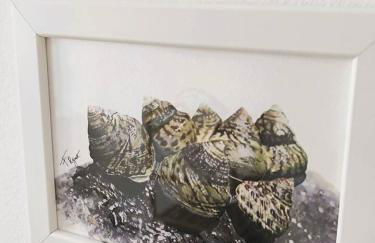 Casa Lila, paz junto al mar - Foto 49