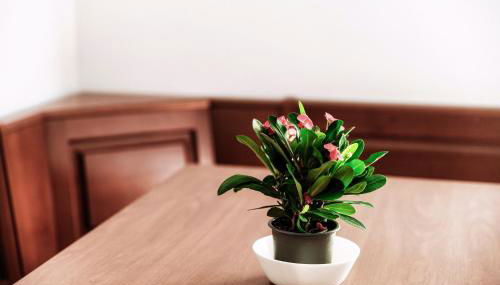 La Casa di Ale - Downtown Como - Foto 5