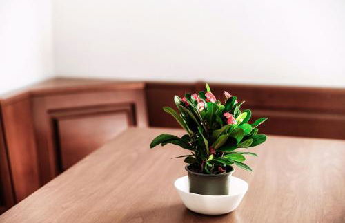 La Casa di Ale - Downtown Como - Foto 5