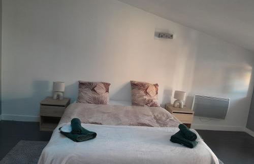 Maison Spacieuse 3 chambres, billard, proche Zénith, - Foto 3