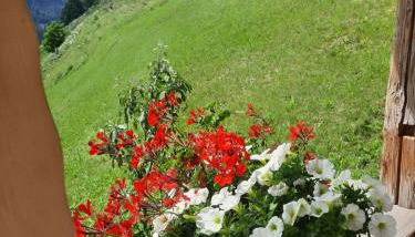 Appartamento l’ Aier - Arabba - Dolomiti - Foto 5