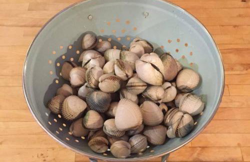 mill house steading overlooking the sea and mull - Foto 37