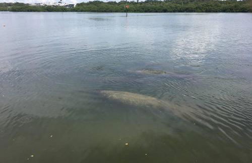 Guest suite - Waterfront -Pool & Hot tub- Walk to Beach - Foto 30