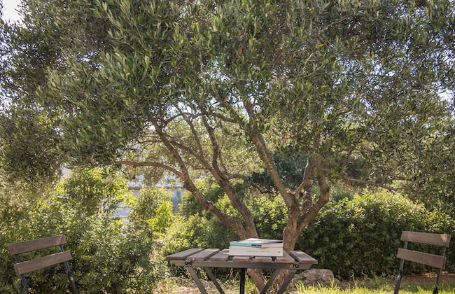 Villa Iasmi - Photo 21