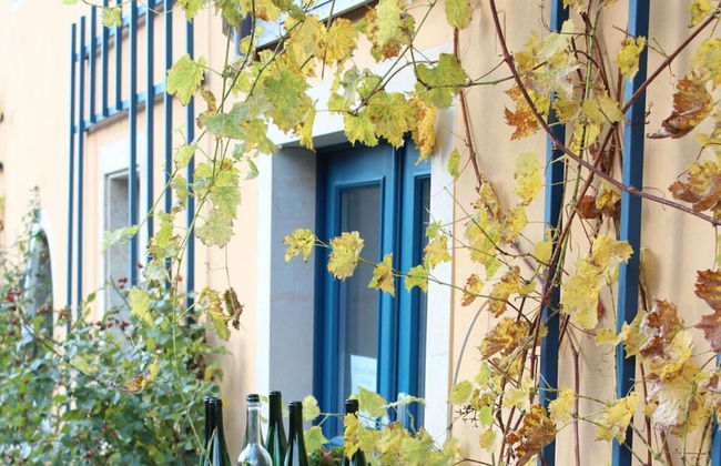 "weinberg Uitzicht" in het Felix Huis - Foto 30