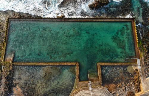 Siempreviva - Photo 30