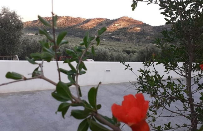 Agriturismo Giorgio - Foto 51