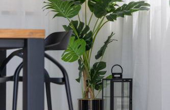 Villa Bepo - Foto 16