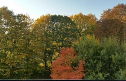 HomeSweetHome Free Parking Wifi Elevator Balcony - Foto 15