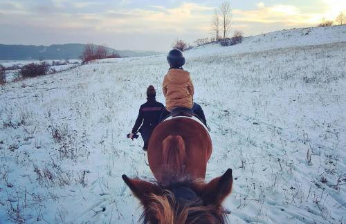 Czereśniowy Dom - Foto 41