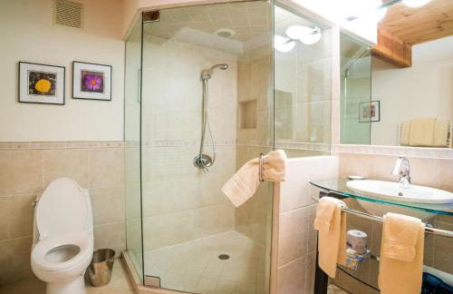 Lift One Condominiums - 1, 2, 3 Bedroom Units Adjacent To Downtown Aspen - Foto 62