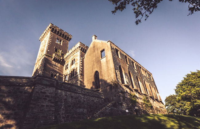 Wilton Castle - Foto 24