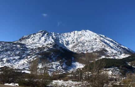 Lillo Home - Foto 19