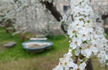 Narniandum Est Locazione Turistica - Foto 7
