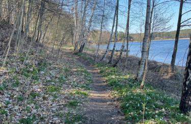 Urocze domki #2, Domek Sitno 69E KASZUBY - Foto 22