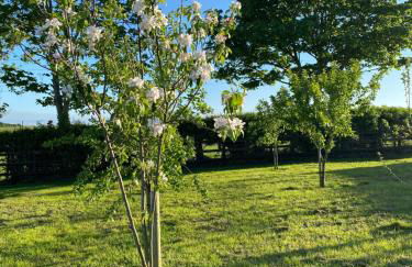 Woodview Cottage - Foto 80