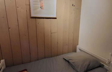 Duplex les Myrtilles LES CARROZ centre station - Photo 31