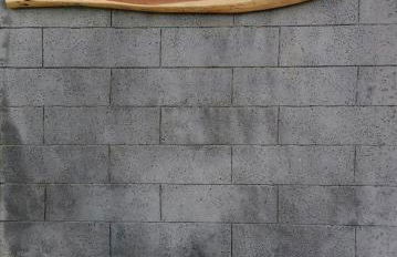 Quinta do Areeiro - Foto 2