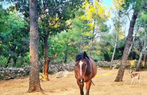 Villa La Merion - Foto 40