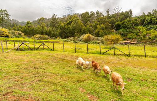 Florenças House - Private Jacuzzi & Garden - Foto 66