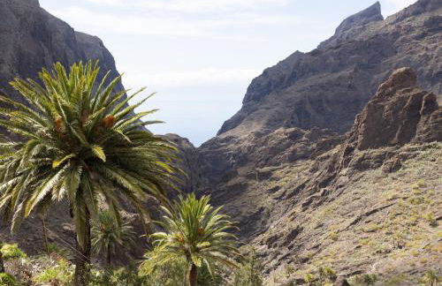 Live masca casatarucho - Foto 14