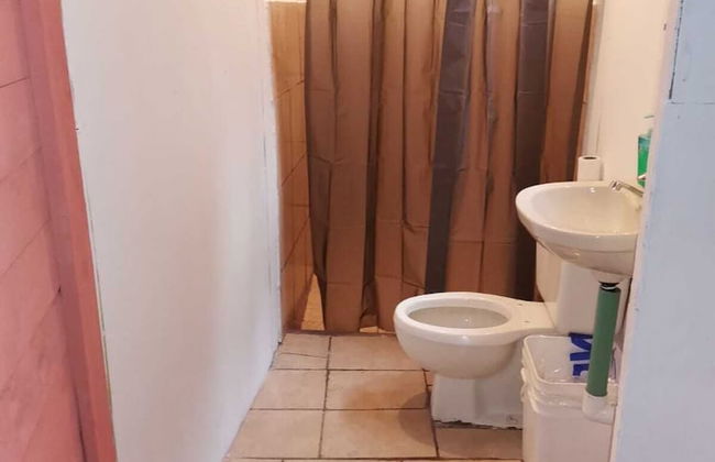 Millar de Aves - Foto 8