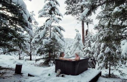 The Ranch Hand Cabin at The Hohnstead - Foto 6