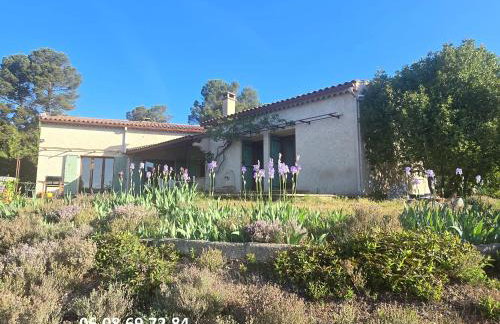 Les Oliviers Du Lac - Foto 20