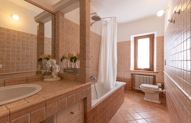 Alighiero II - Foto 29