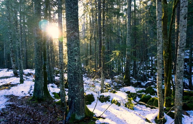 Le Meubl Between City Center Skiing - Foto 21