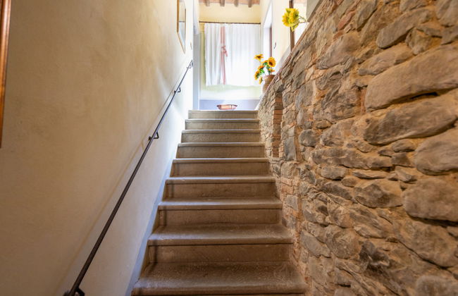 Il Mulinaccio - Foto 27