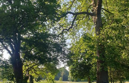 Cosy Cabin - Heart of Beckenham - Foto 1